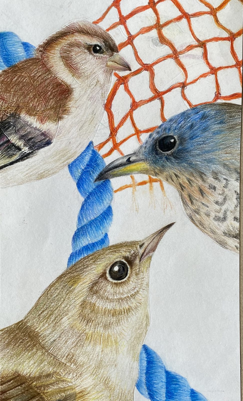 Emily McCracken, Hutchesons' Grammar School