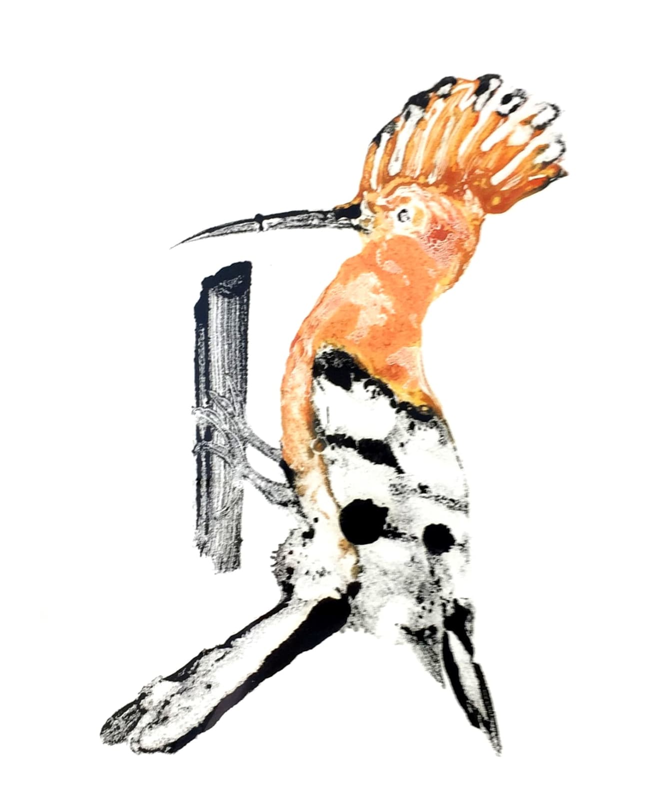 Stuart MacKenzie RSA, Hoopoe II