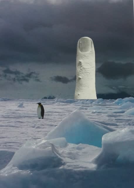 Doug Cocker RSA, CALL OF THE WILD (4), 2020