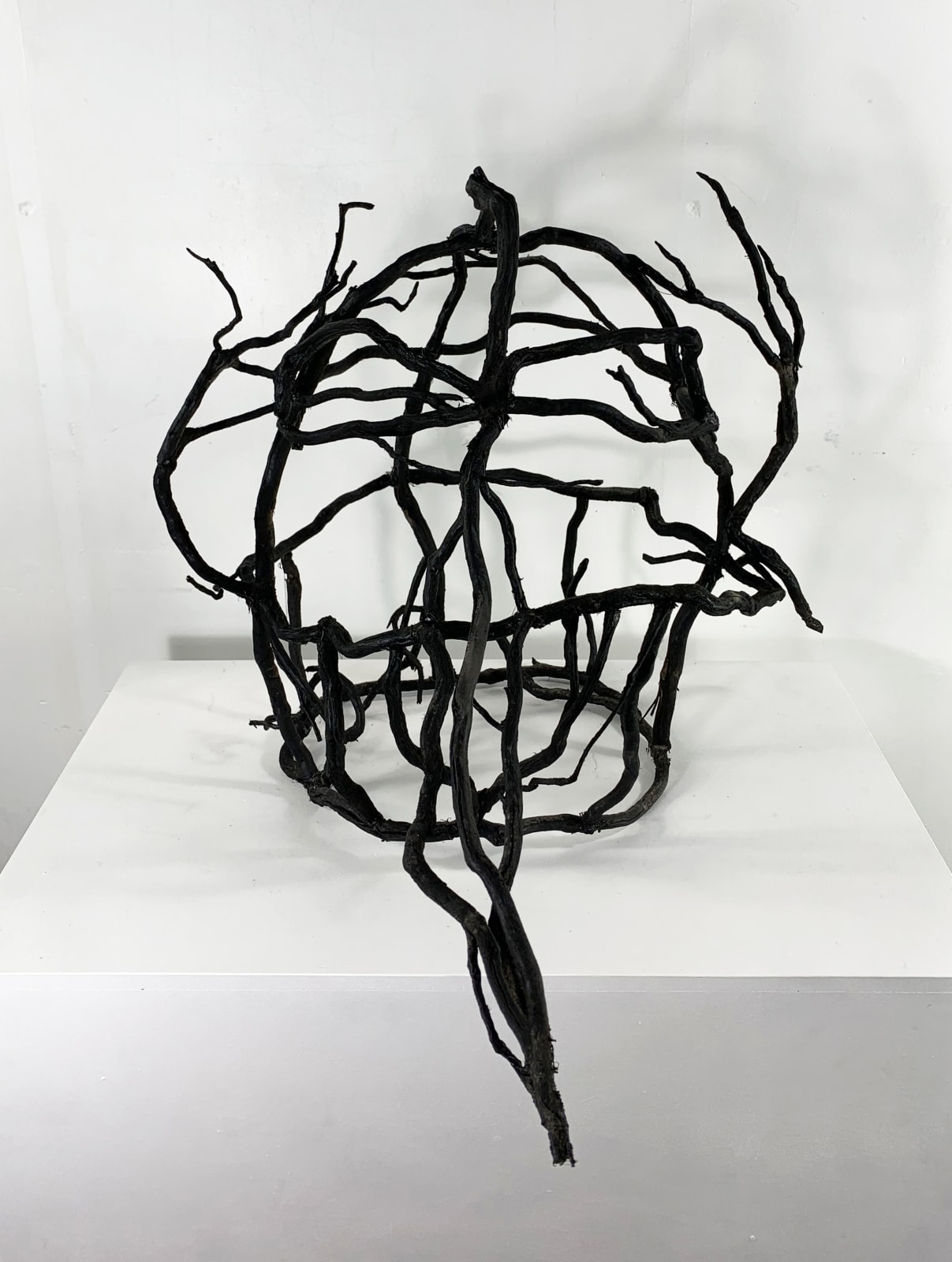 Edward Summerton RSA, Burn the Witch (Hen Harrier)