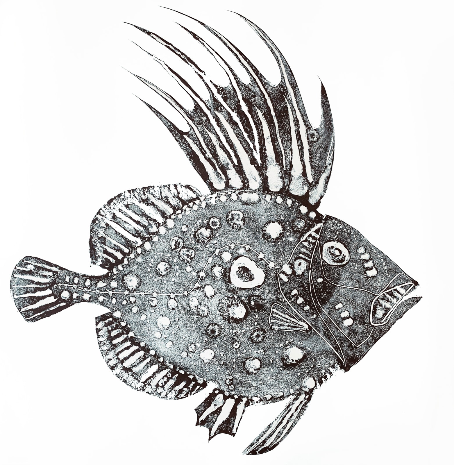Stuart Mackenzie RSA, Species: John Dory II