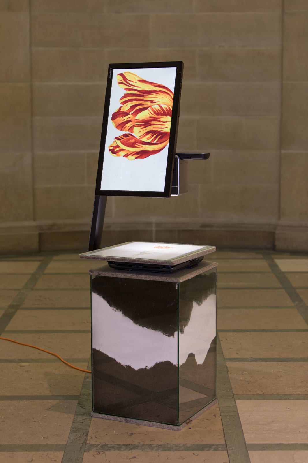 Jack McCombe, Render the Moment (Break with the Earth): Tulip (anon.), 2020
