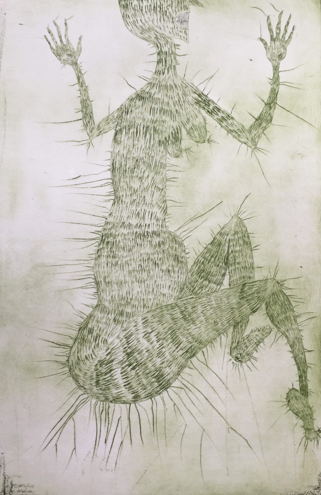 Flore Gardner, Hairy Witch in a Bush, 2019