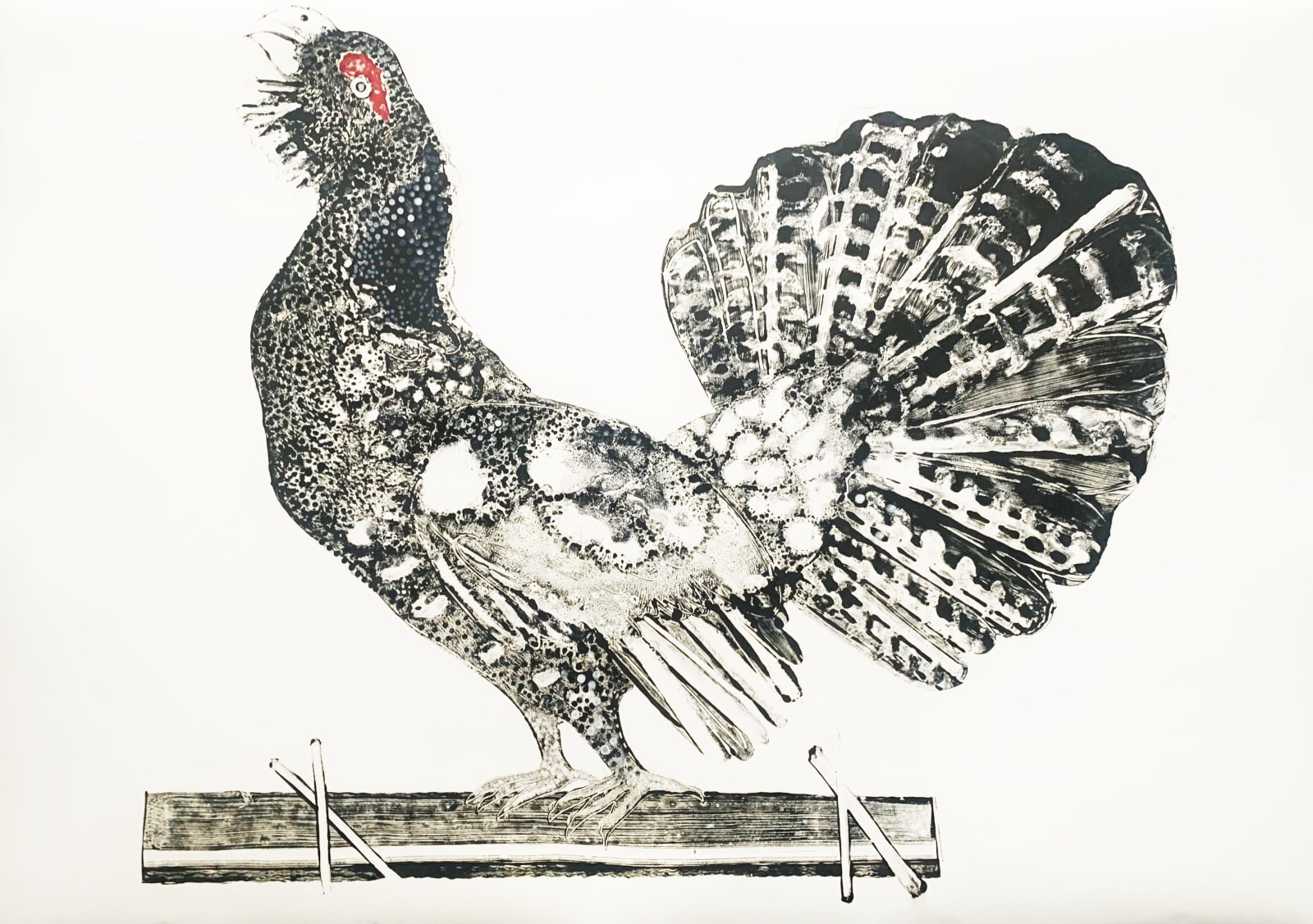 Stuart MacKenzie RSA, Species Morphology: Capercaillie I, 2021