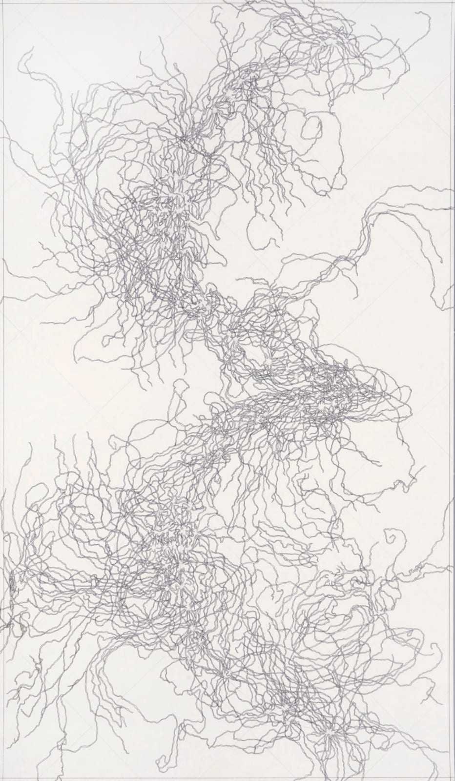 Matt Collier, The 'Lymphatic Curve', 2009