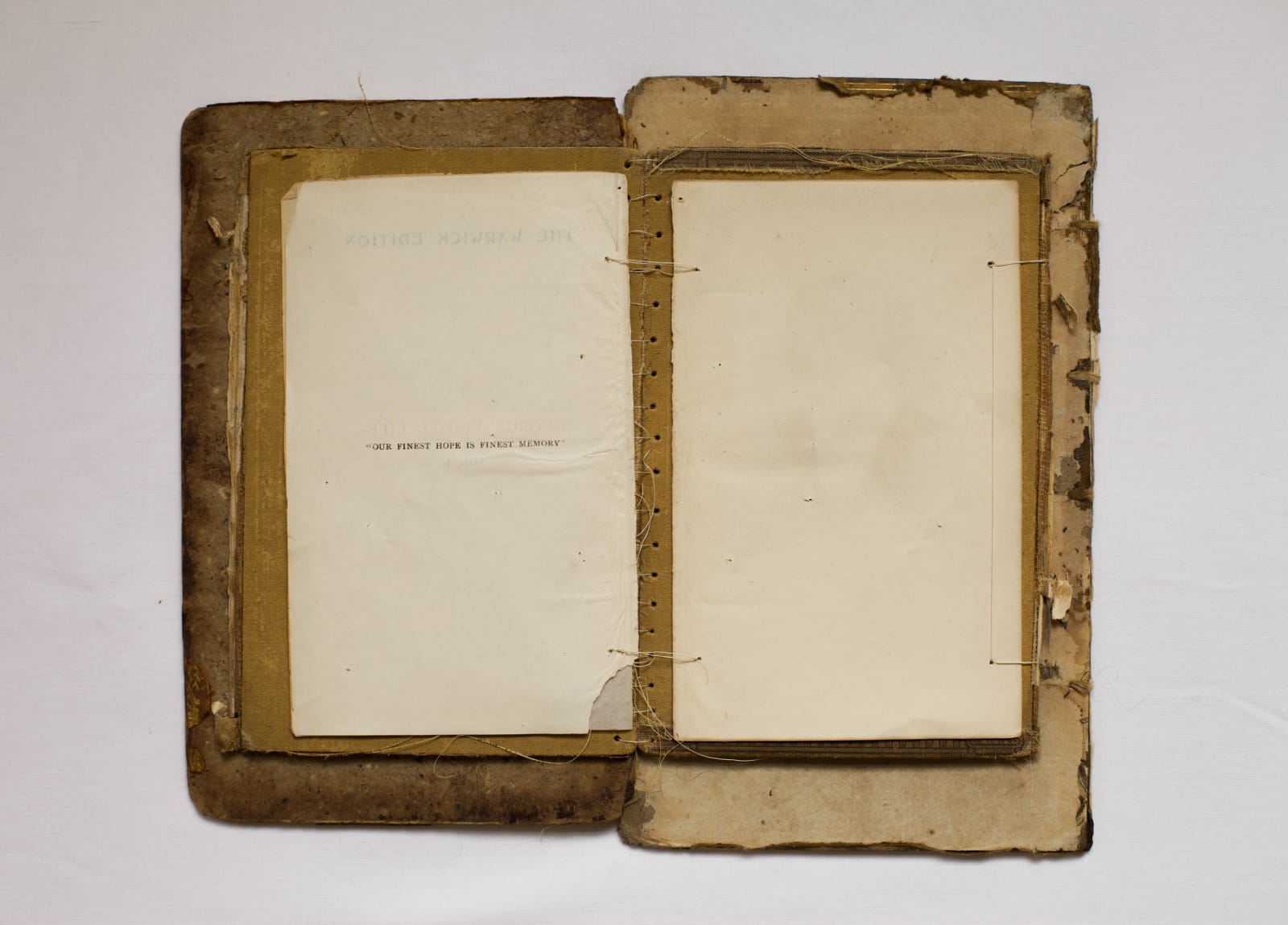 Mia Gwenllian, Our Finest Hope is Finest Memory, 2025