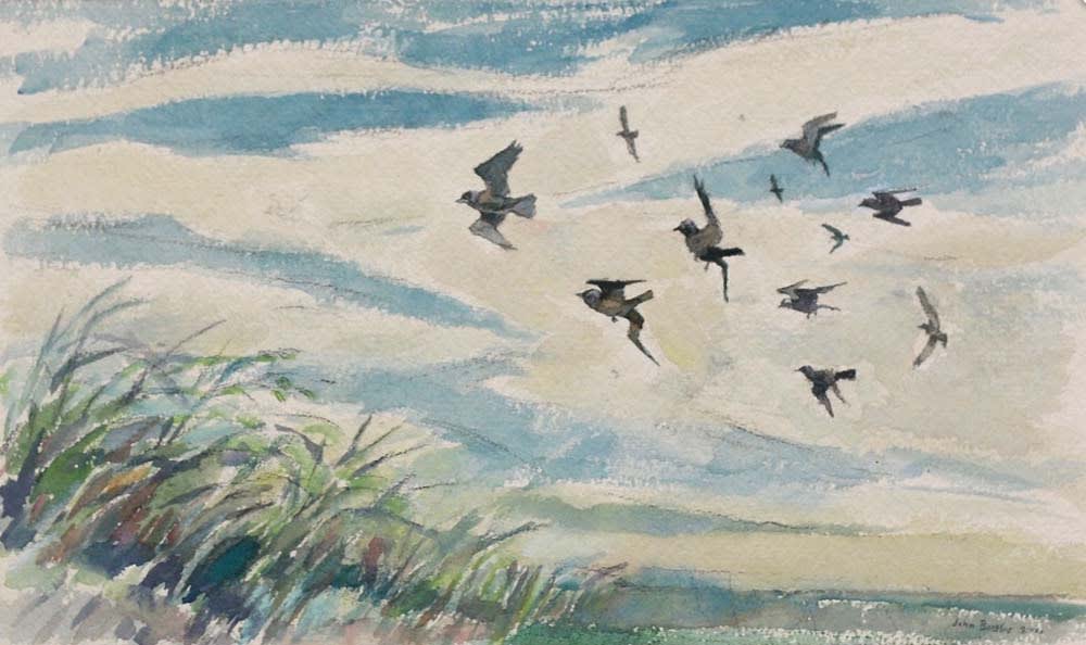 John Busby RSA, Jackdaws in a Stiff Wind, 2000