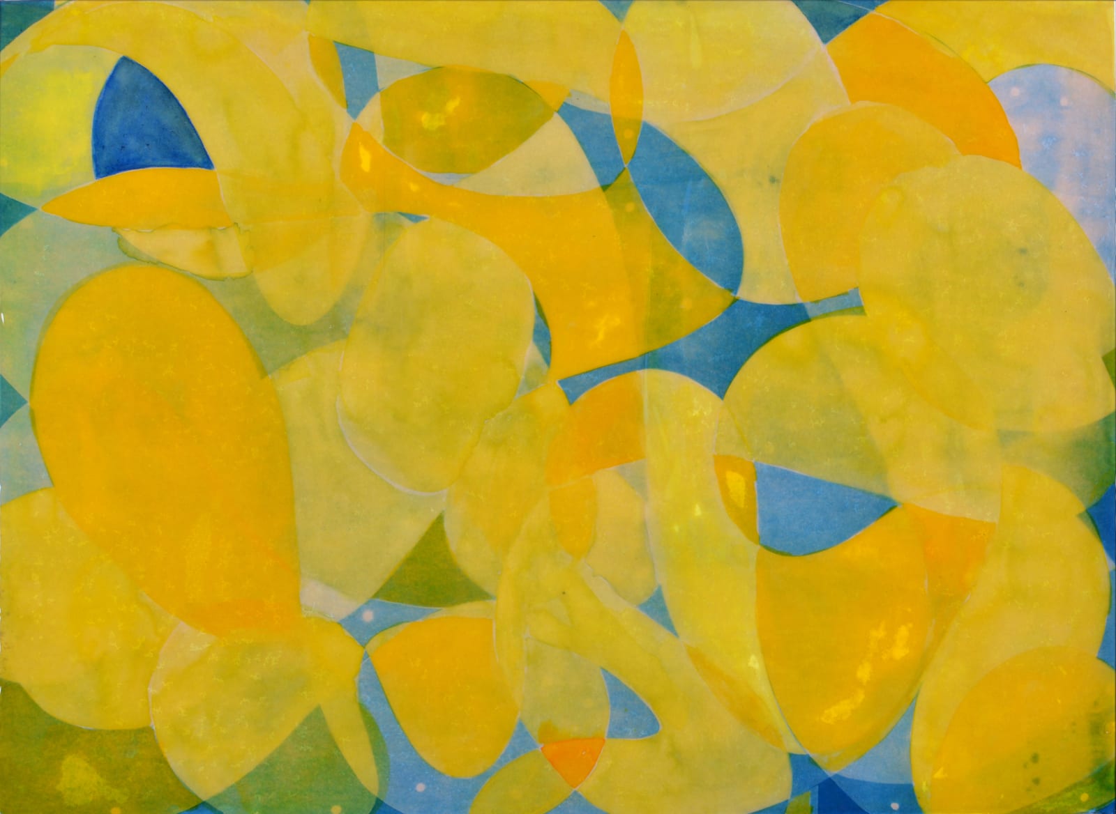 Kinga Elliott, Hundredweight-Sycamore-Flutter
