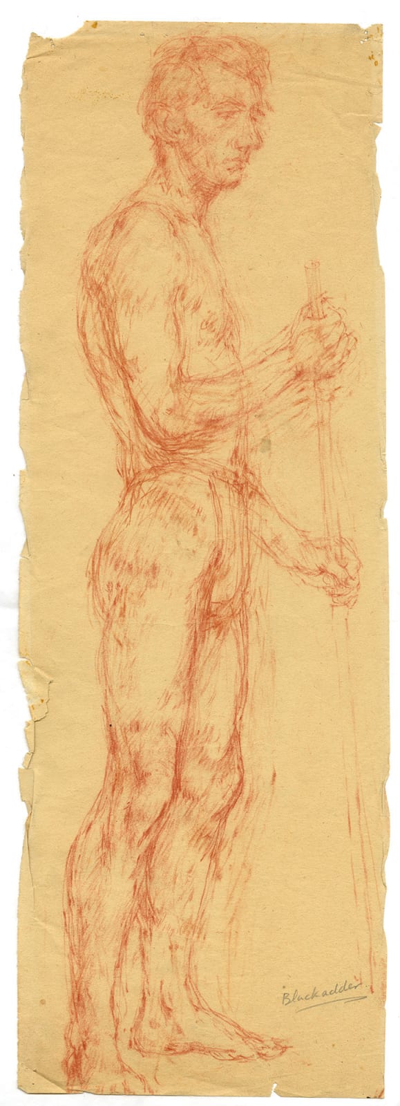 Dame Elizabeth Blackadder RSA, Male standing nude, c. 1949-54