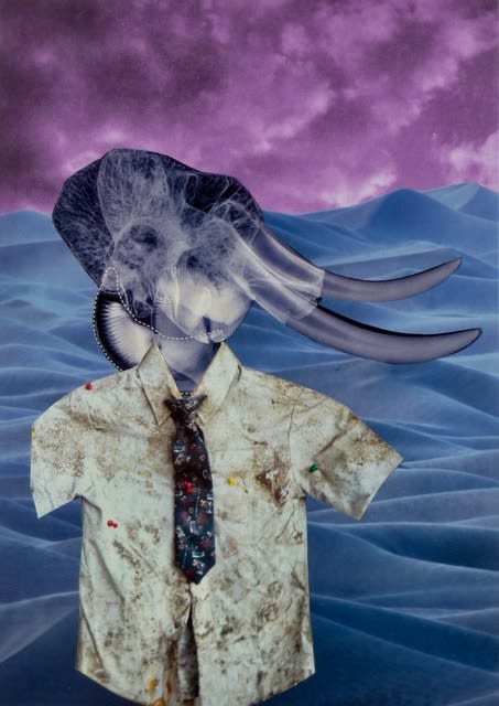 Doug Cocker RSA, CALL OF THE WILD (22), 2020