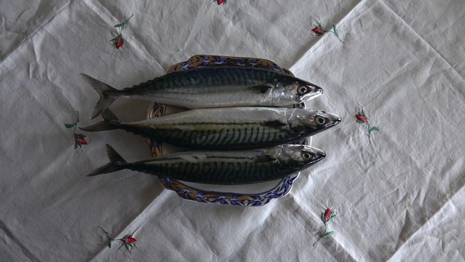 DALZIEL + SCULLION RSA, SÁL, 2018