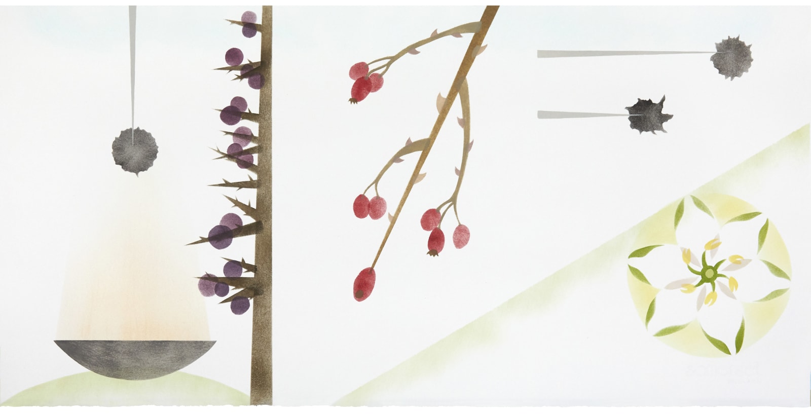 Jane Hyslop RSA, XVI The Oak Tree: a tribute to eternity, December 2020, January, February 2021, 2023