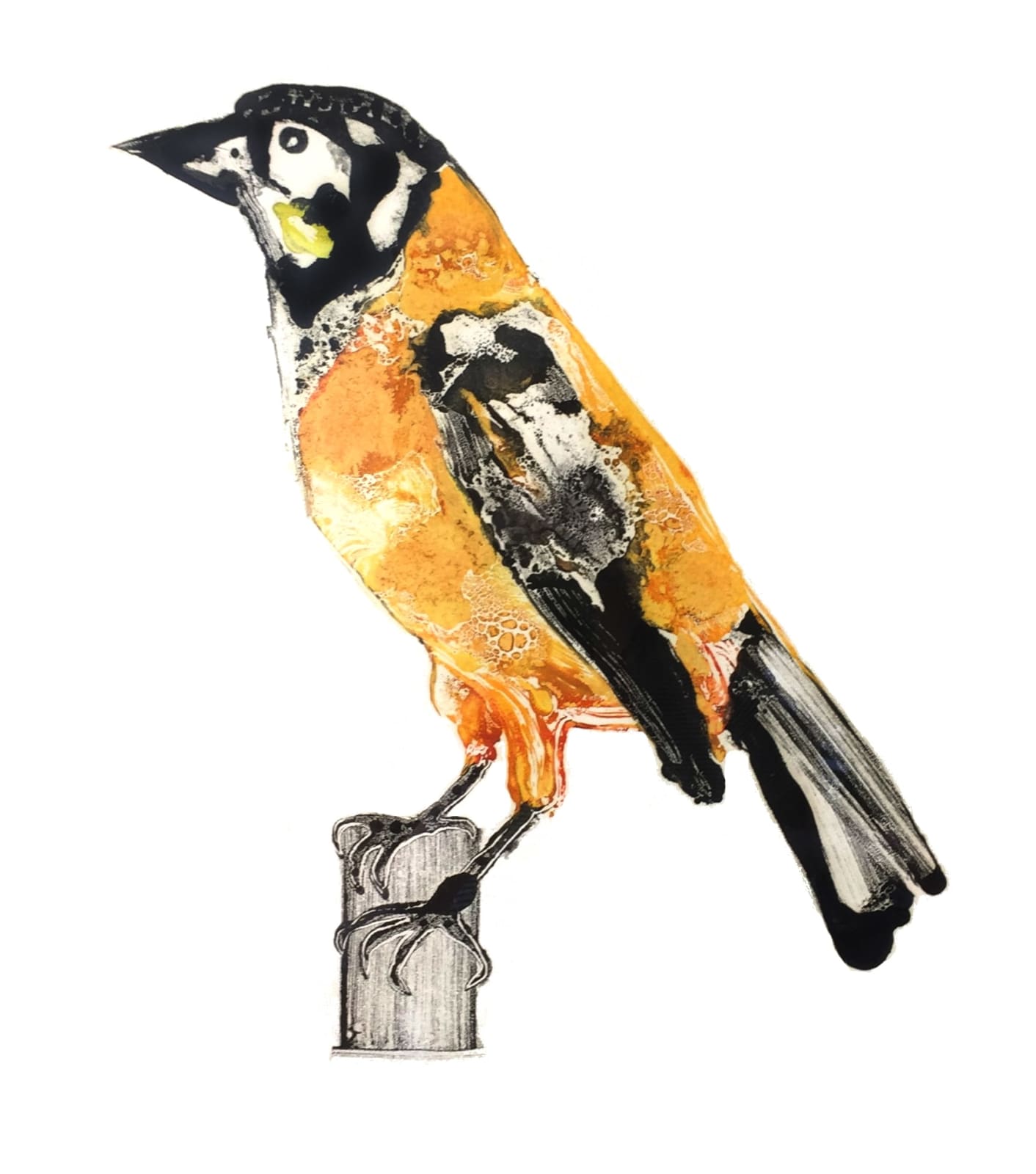 Stuart MacKenzie RSA, Troupial II