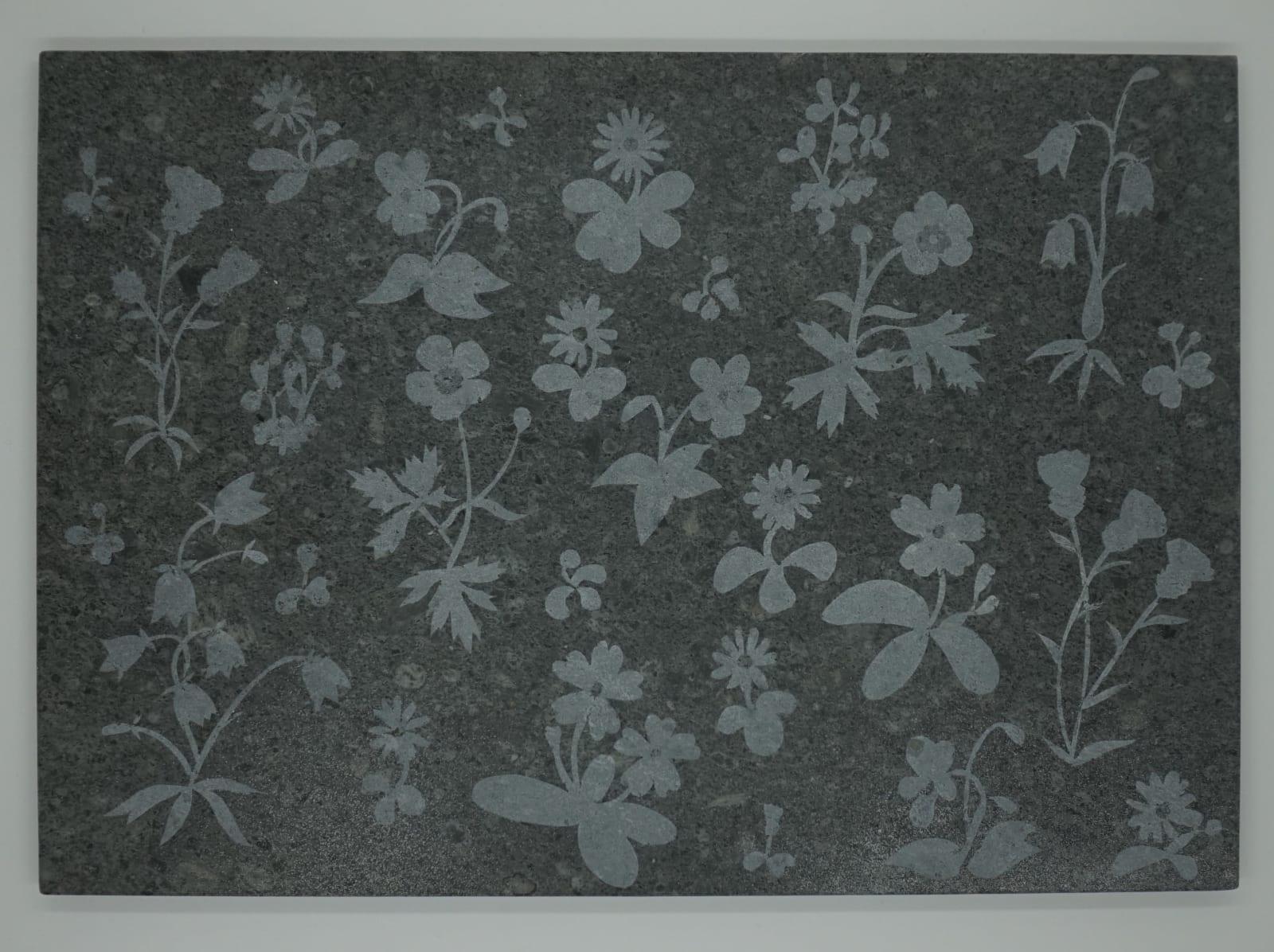 Mary Bourne RSA, The Garden, 2017