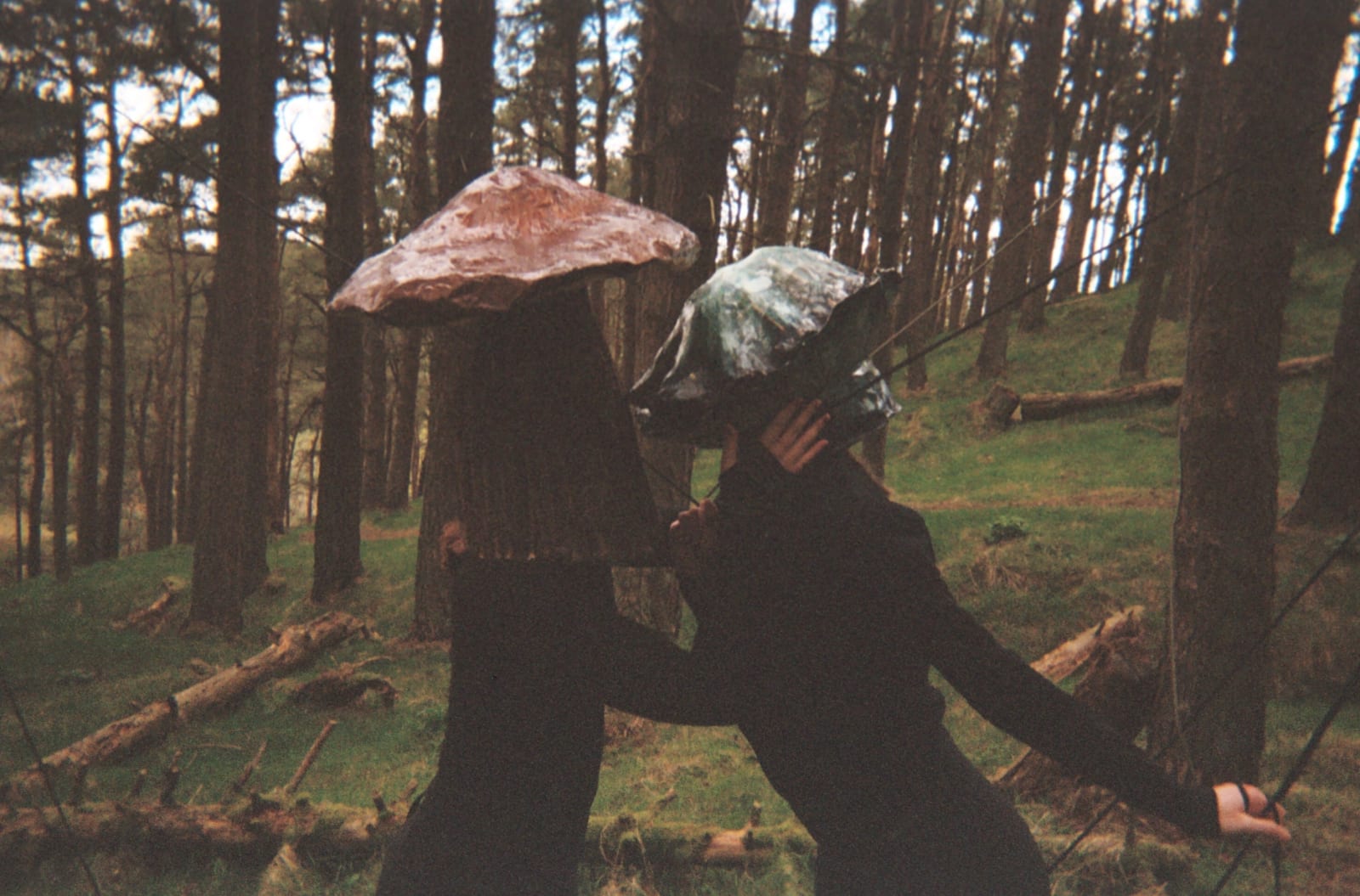 Amanda Cathy, Pomegranate Pasta, My Love 7, 2023-5