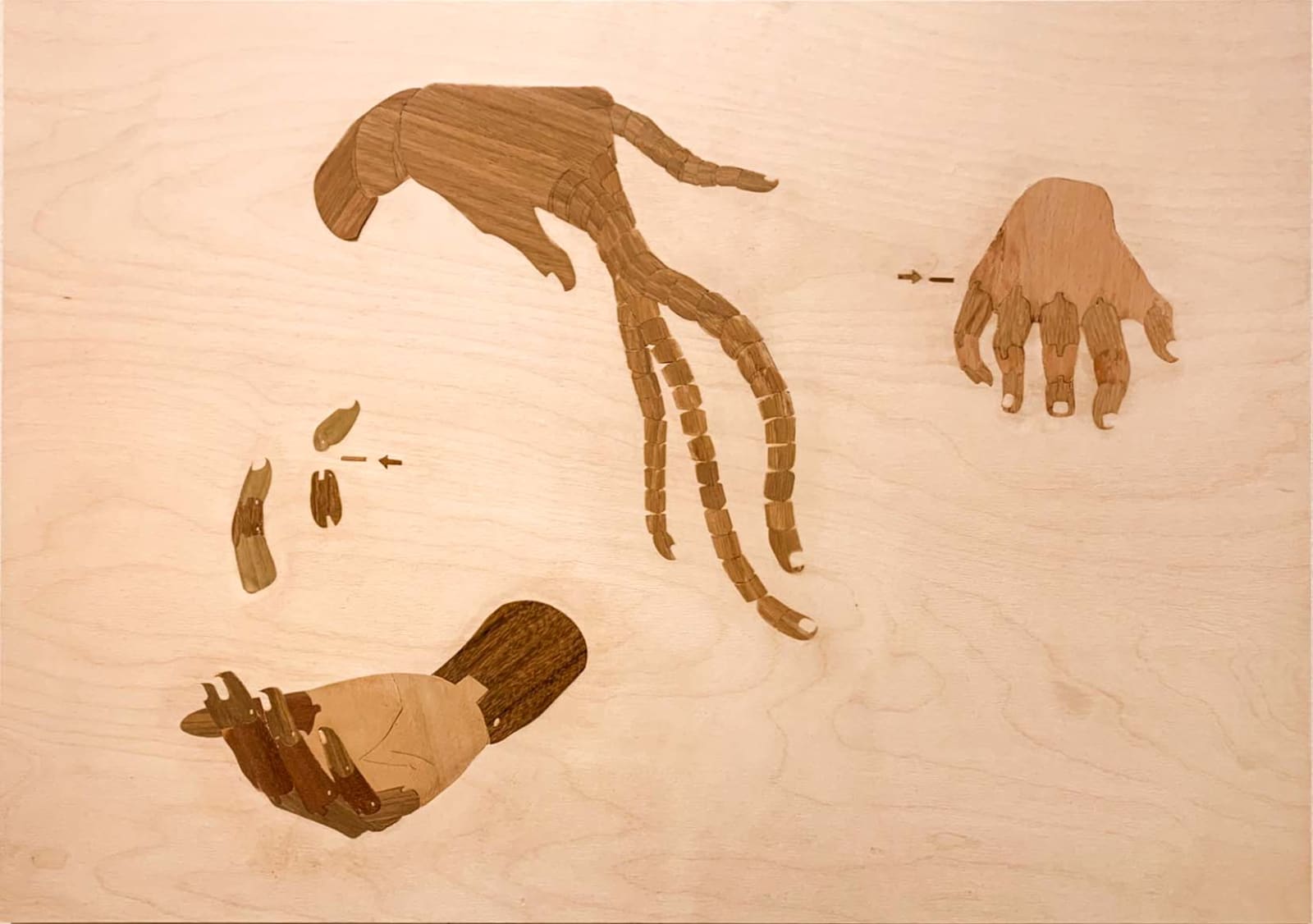 Annie Graham, New Toys, 2022
