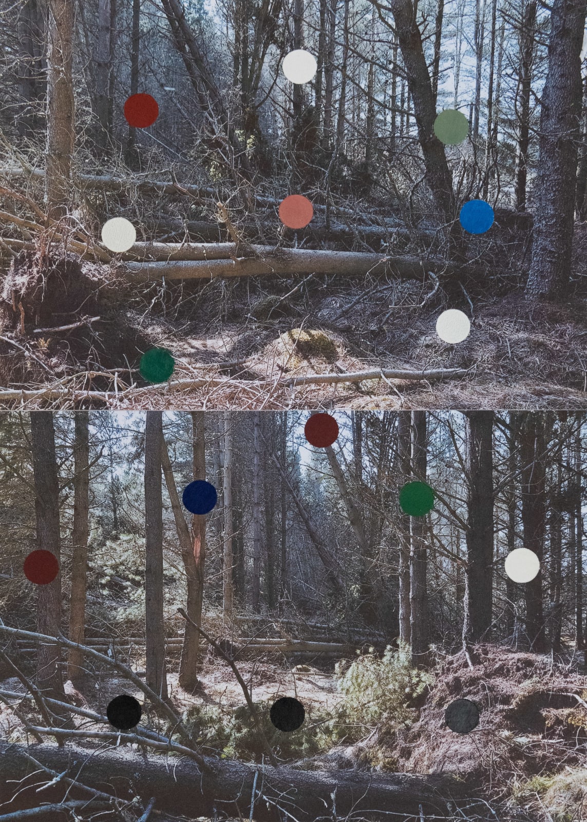 Glen Onwin RSA, 'We are making a new world', 2021