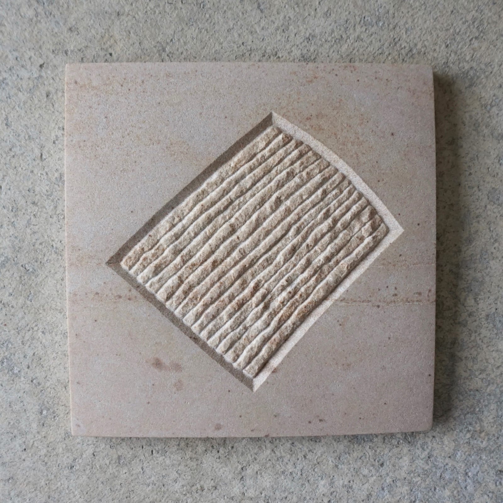 Mary Bourne RSA, Field, 2020