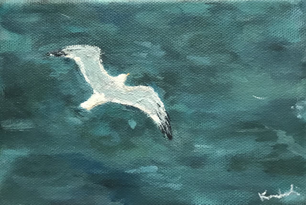 Henry Kondracki RSA, Seagull, 2020