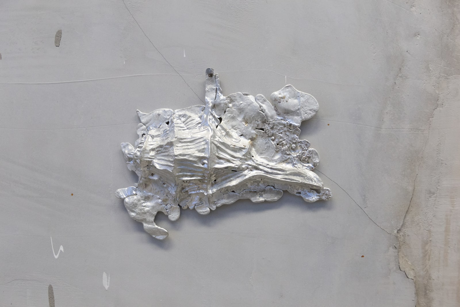 Paige Silverman, Cavity (3)