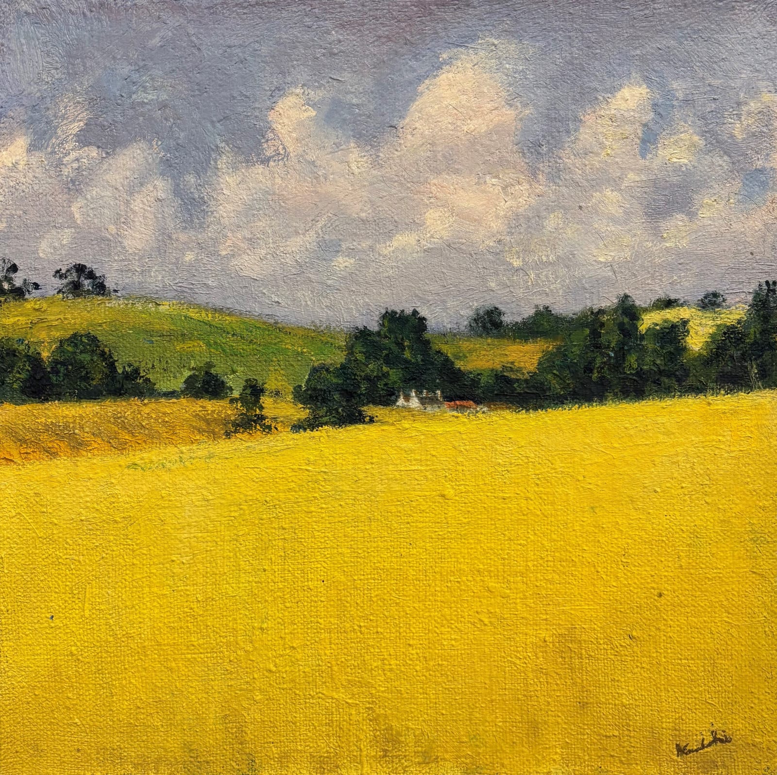 Henry Kondracki RSA, Yellow Field, 2025