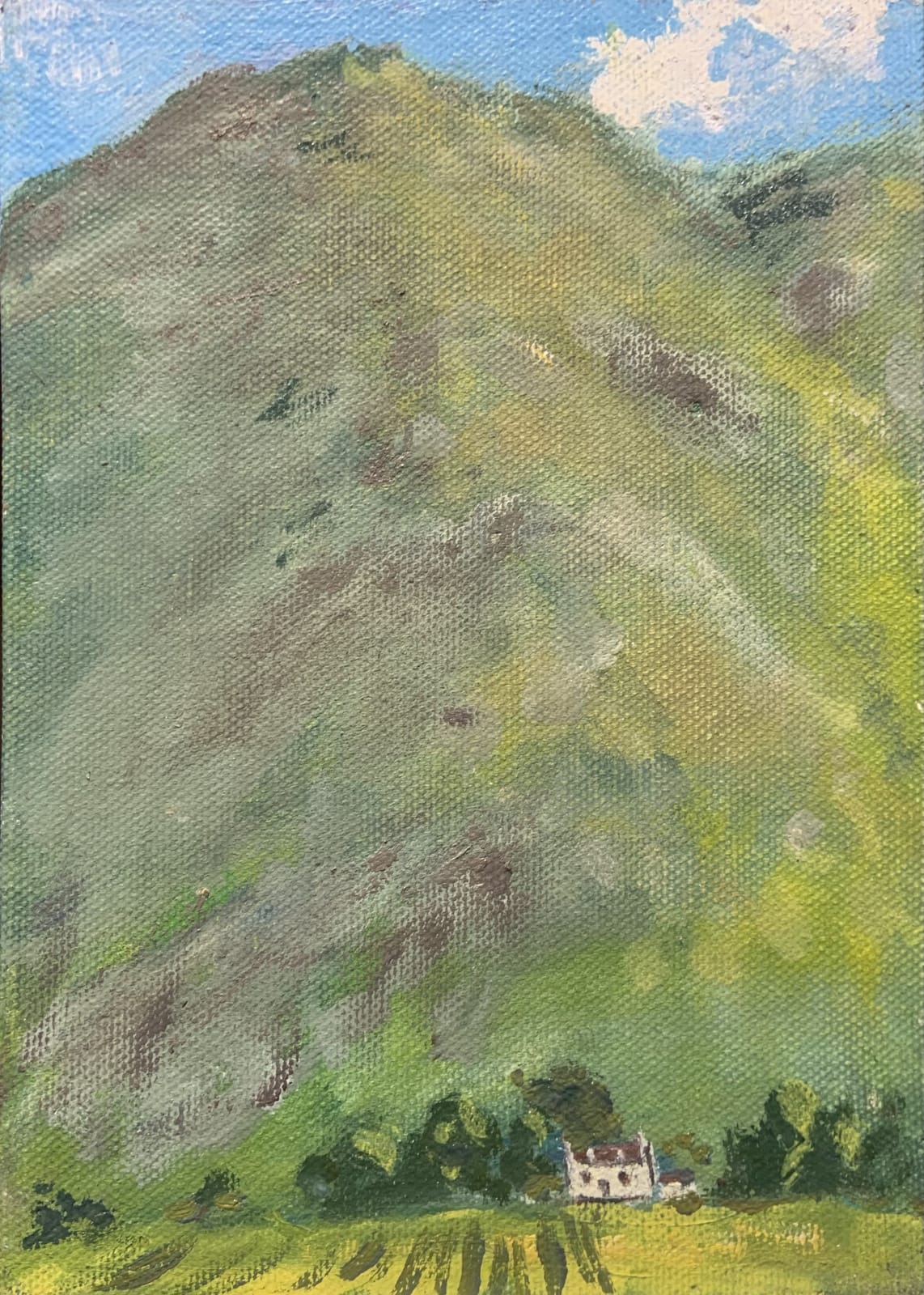 Henry Kondracki RSA, Little Grey Cottage