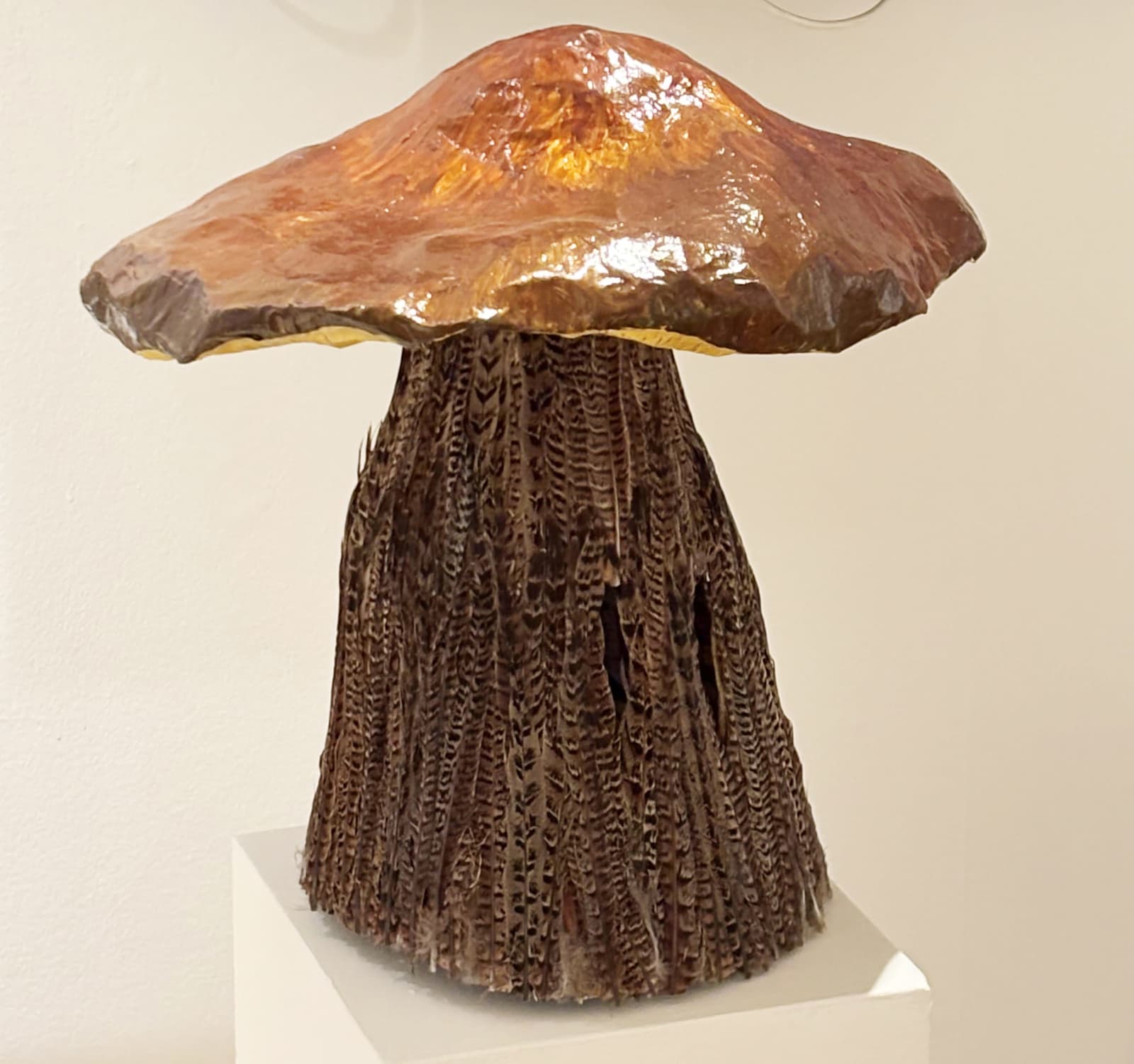 Amanda Cathy, Froom, 2024