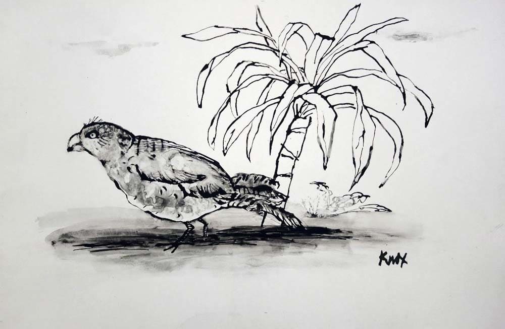 Jack Knox RSA, Bird and Plant