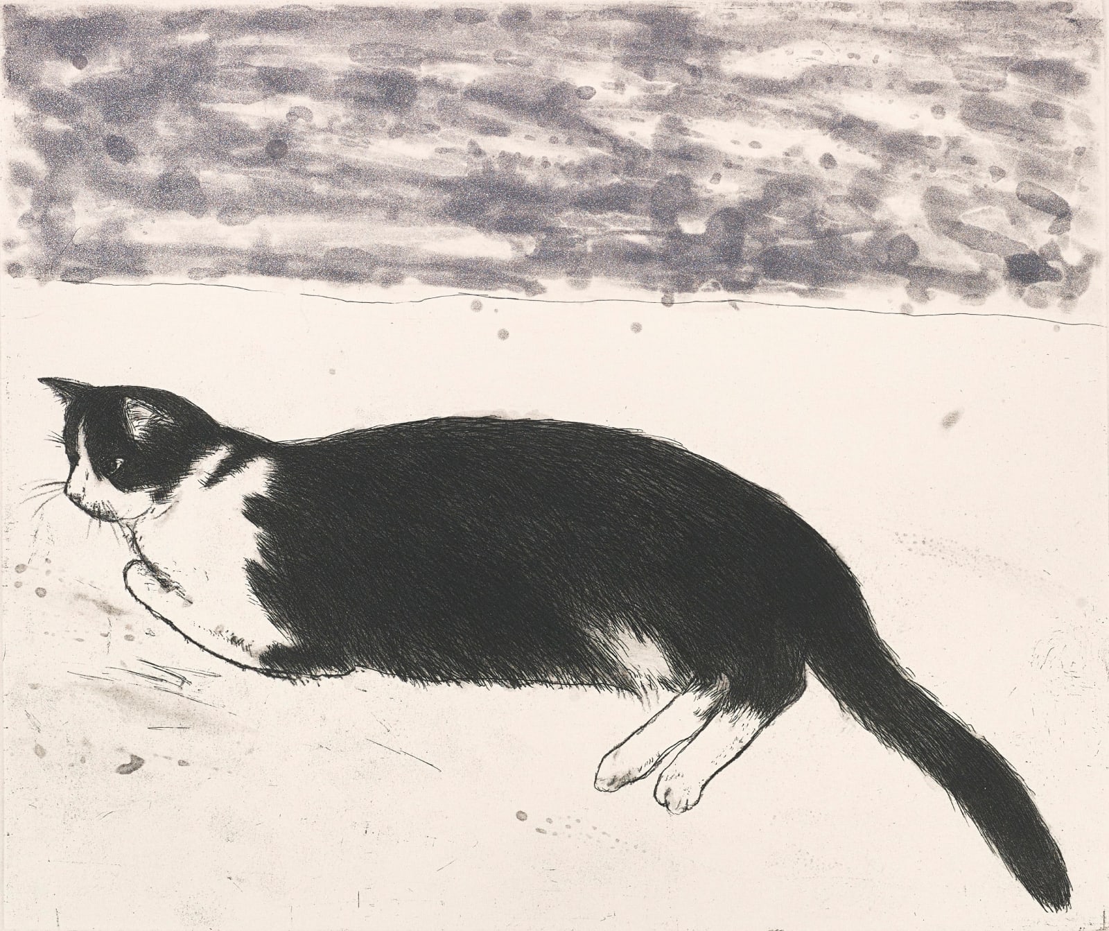 Elizabeth Blackadder RSA, Fred, 2003