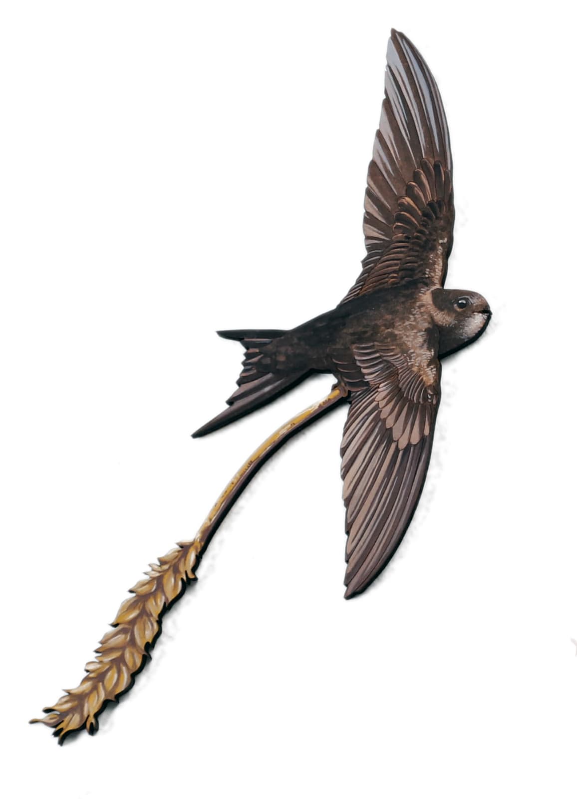 Fionnlagh Skinner, Swift (1), 2024