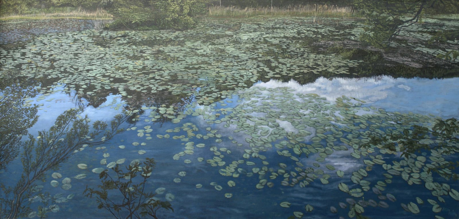 Michael Mullen, Culzean Castle Swan Pond, Midsummer, 2022