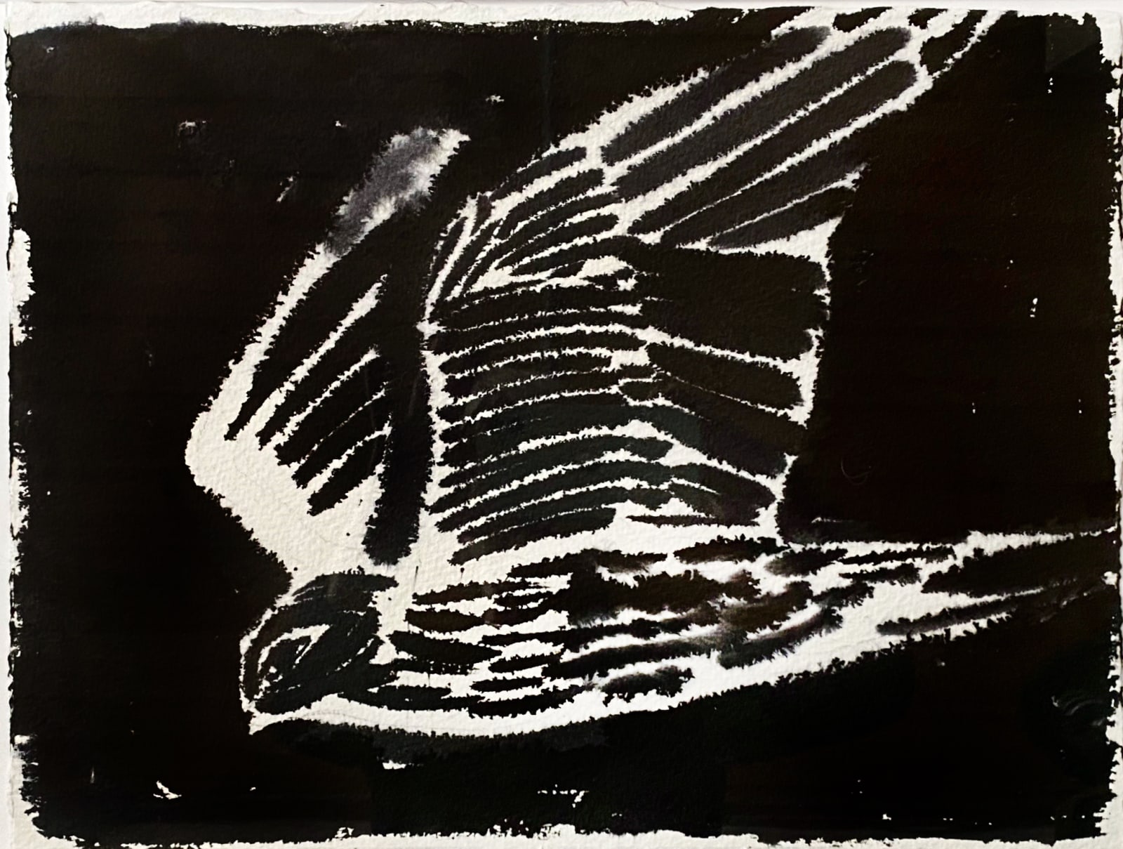 Kate Whiteford RSA, Nero After Emily Brontë’s Merlin Hawk Study for artist’s film Wings of Desire, 2018