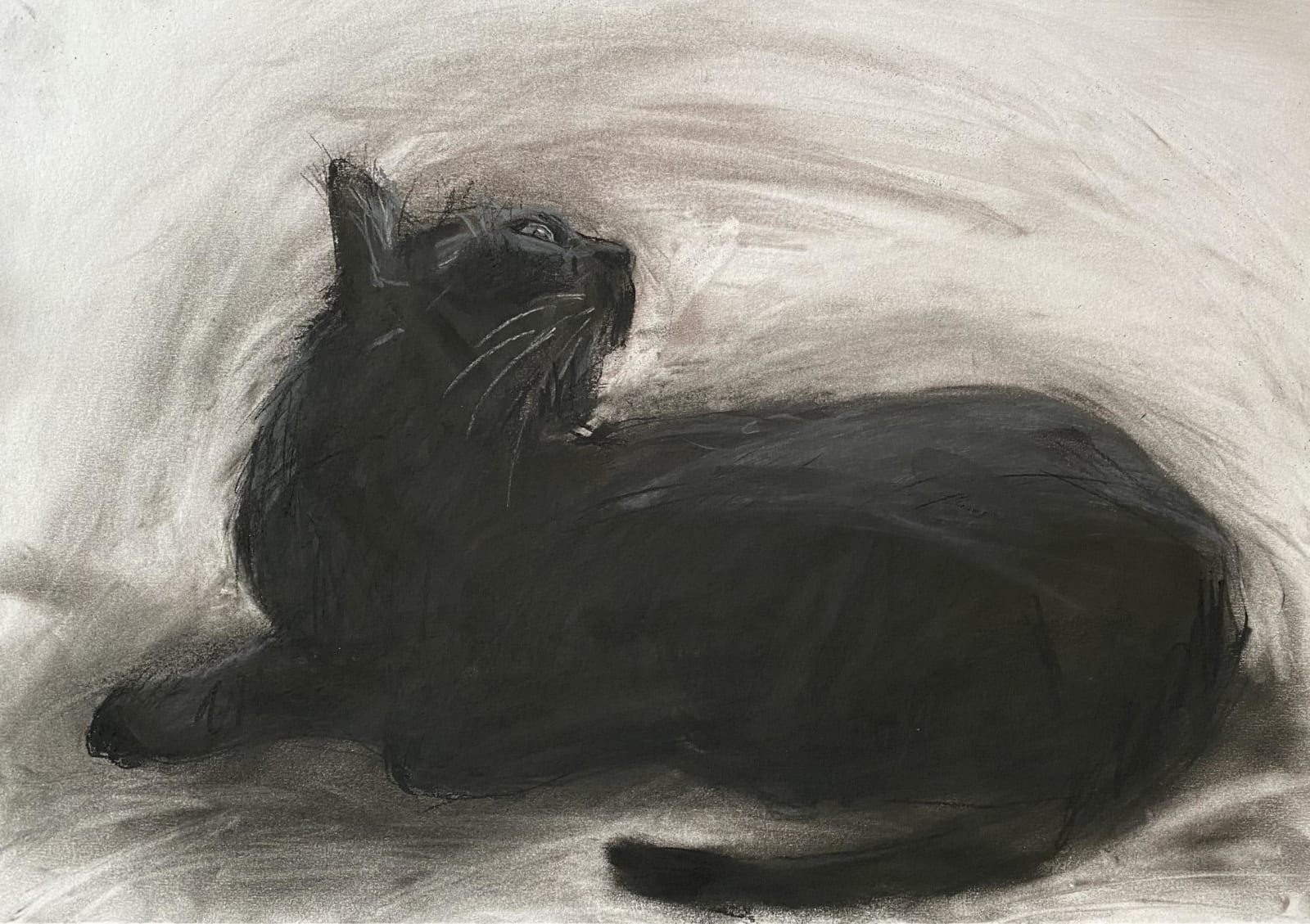 Amelia McComb, Phoebe, 2025