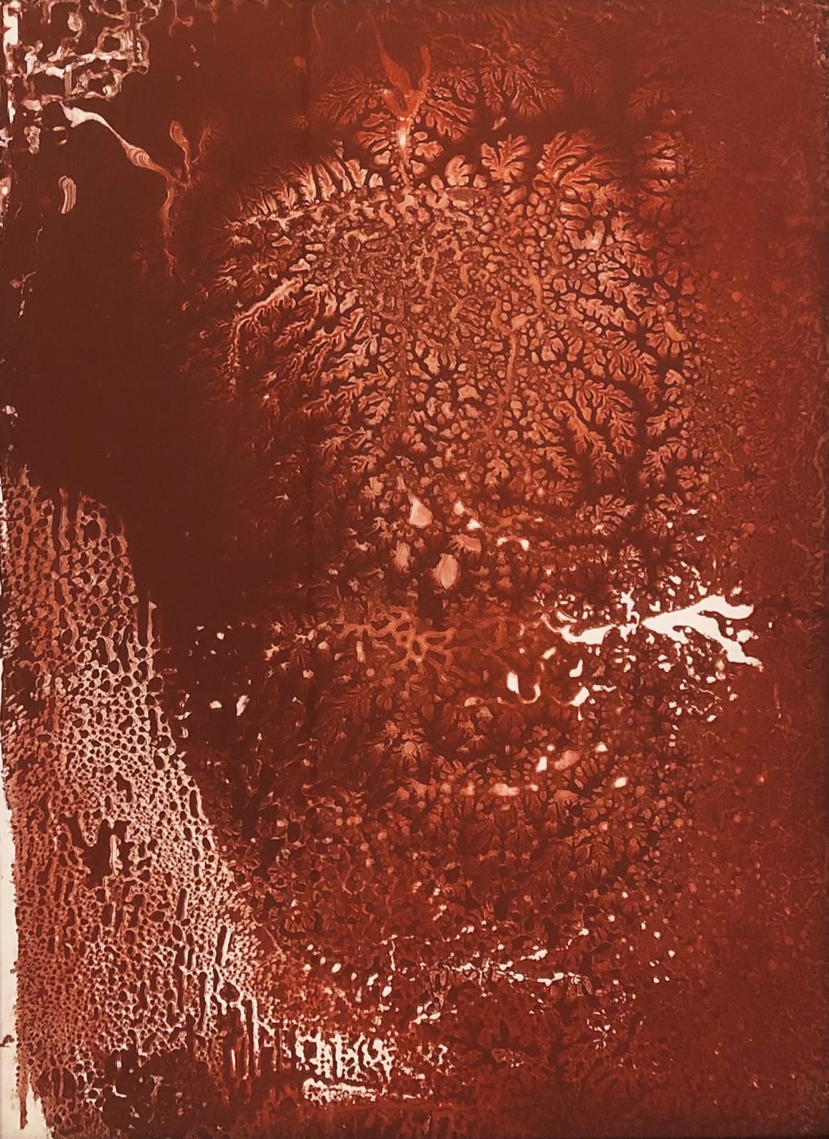 Glen Onwin RSA, Thinking like the Earth - the mind of nature III