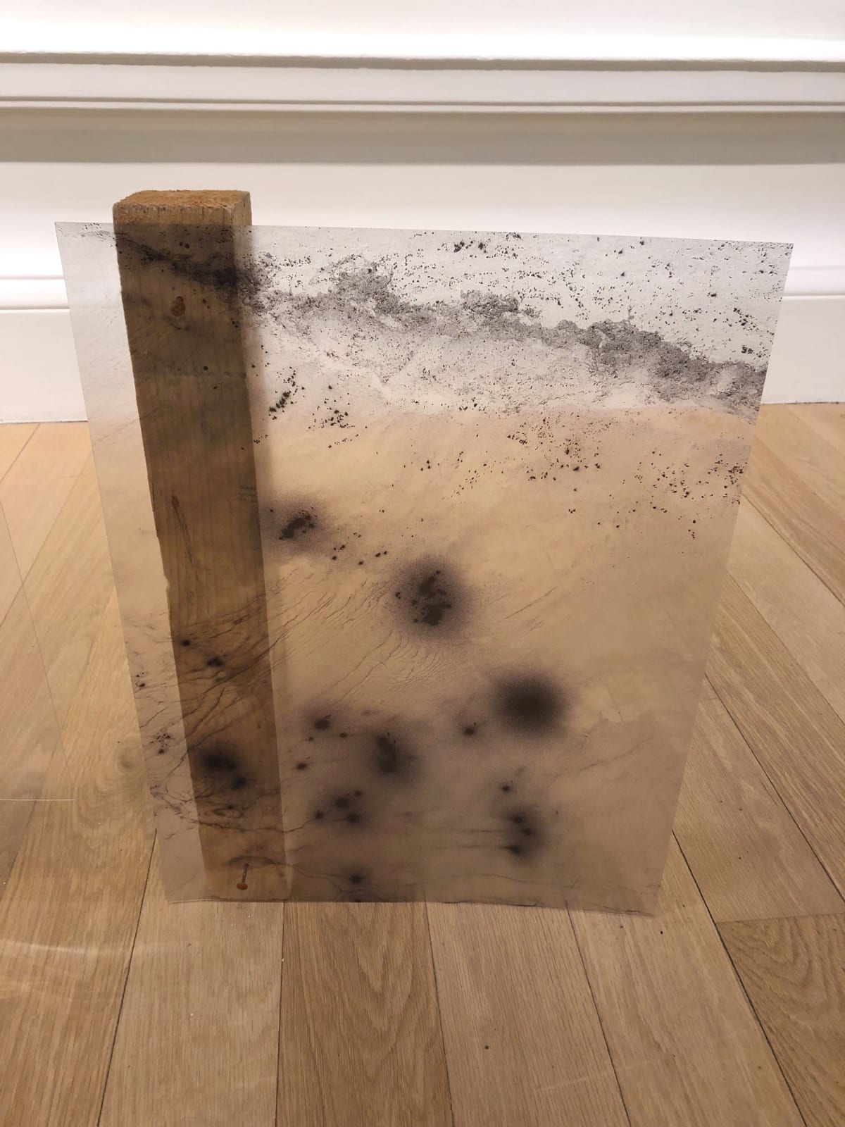 Ráchel Jutka, Flag II