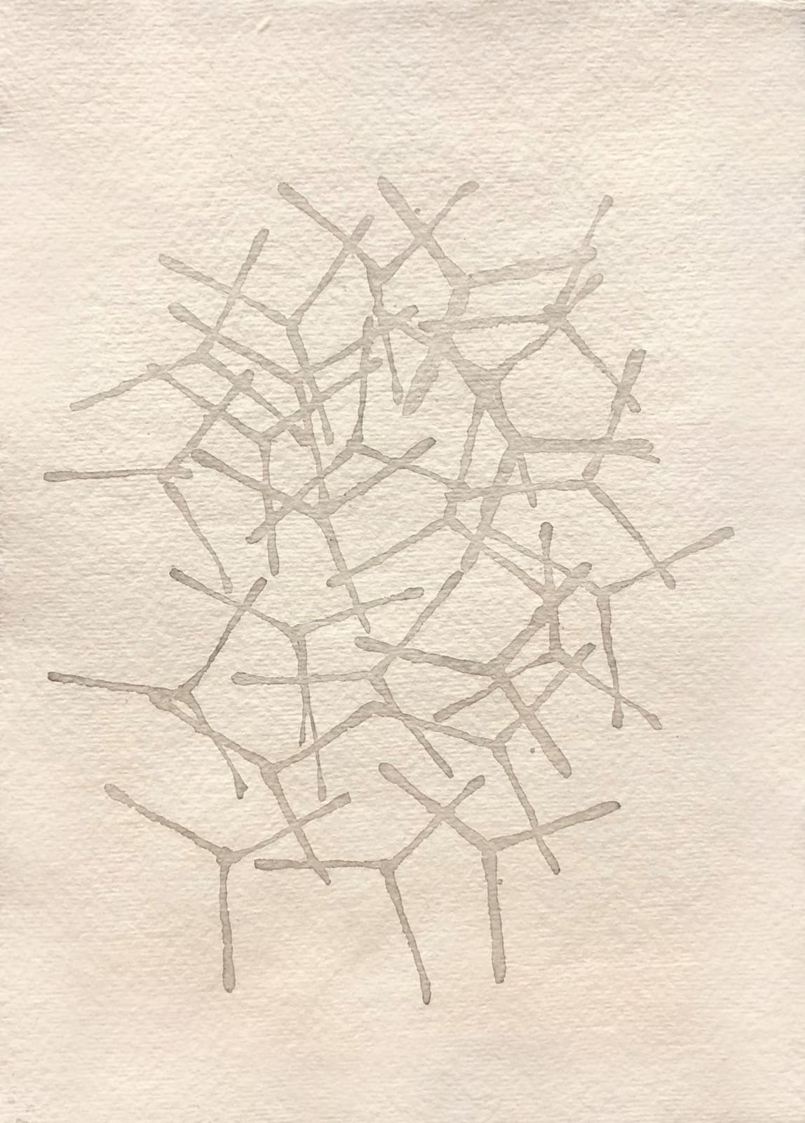 Mary Bourne RSA, Turbines 5