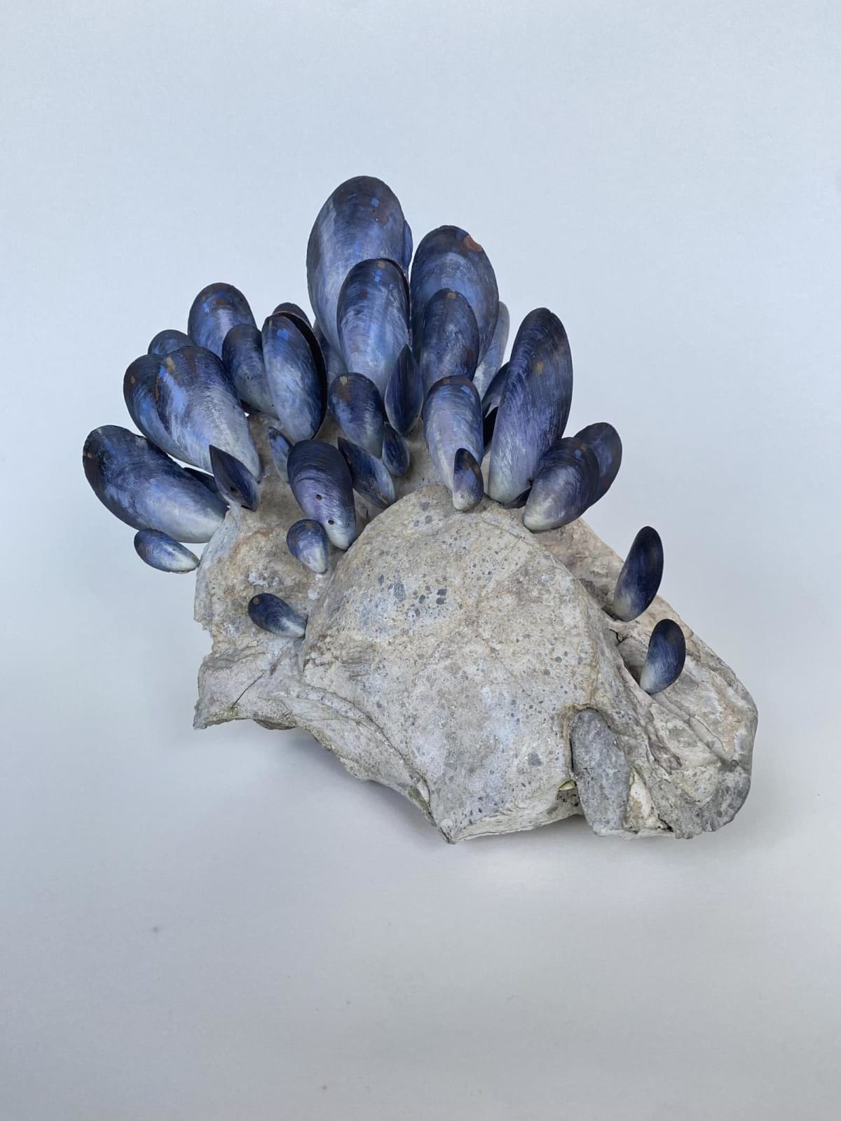 Lucy Gray, We All Cling To The Same Rock, 2025