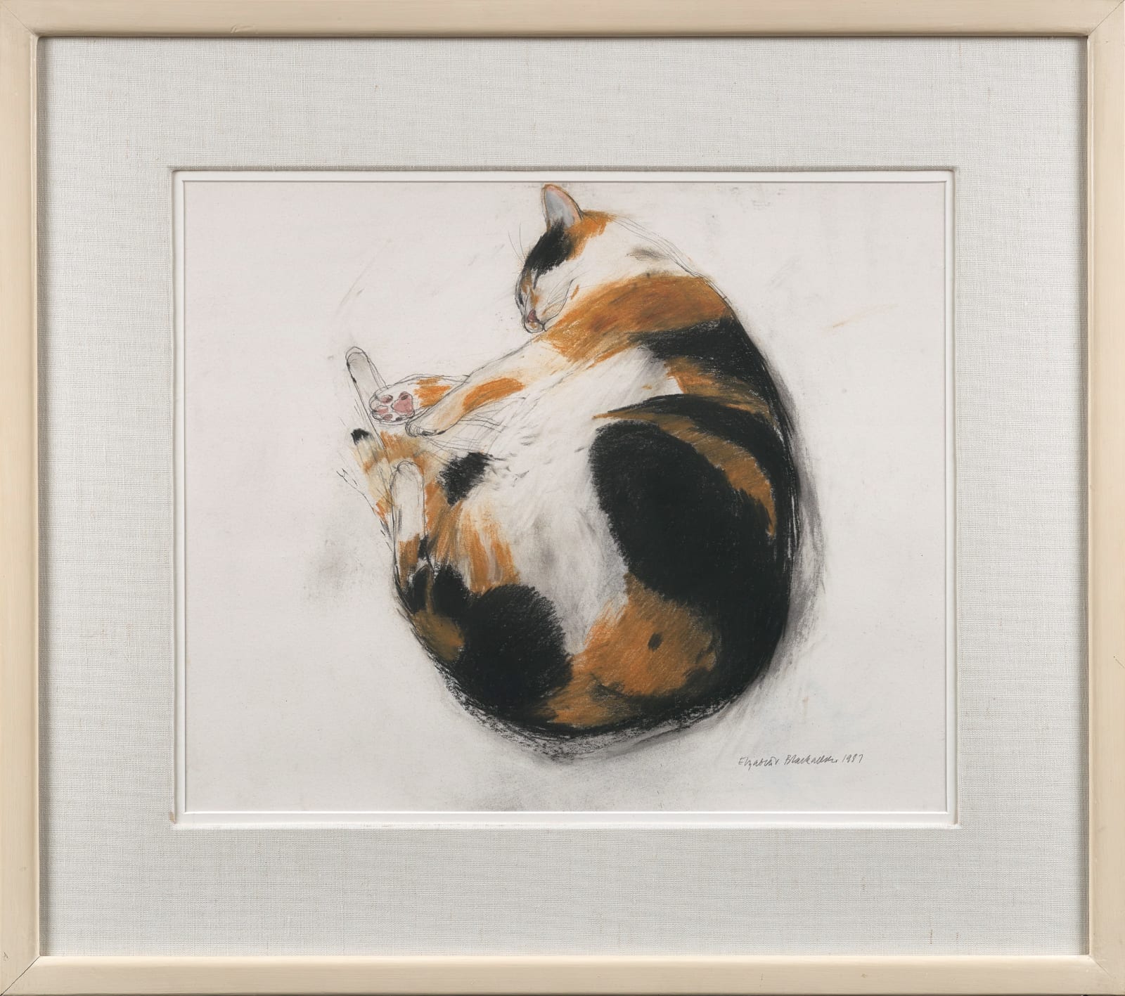 Elizabeth Blackadder RSA, Tortoiseshell Cat, Coco, Sleeping, 1987