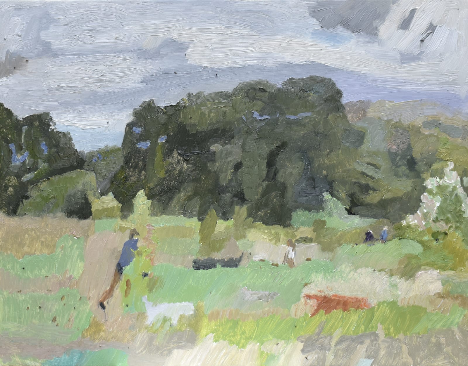 Catharine Davison, Rambling in the Wild