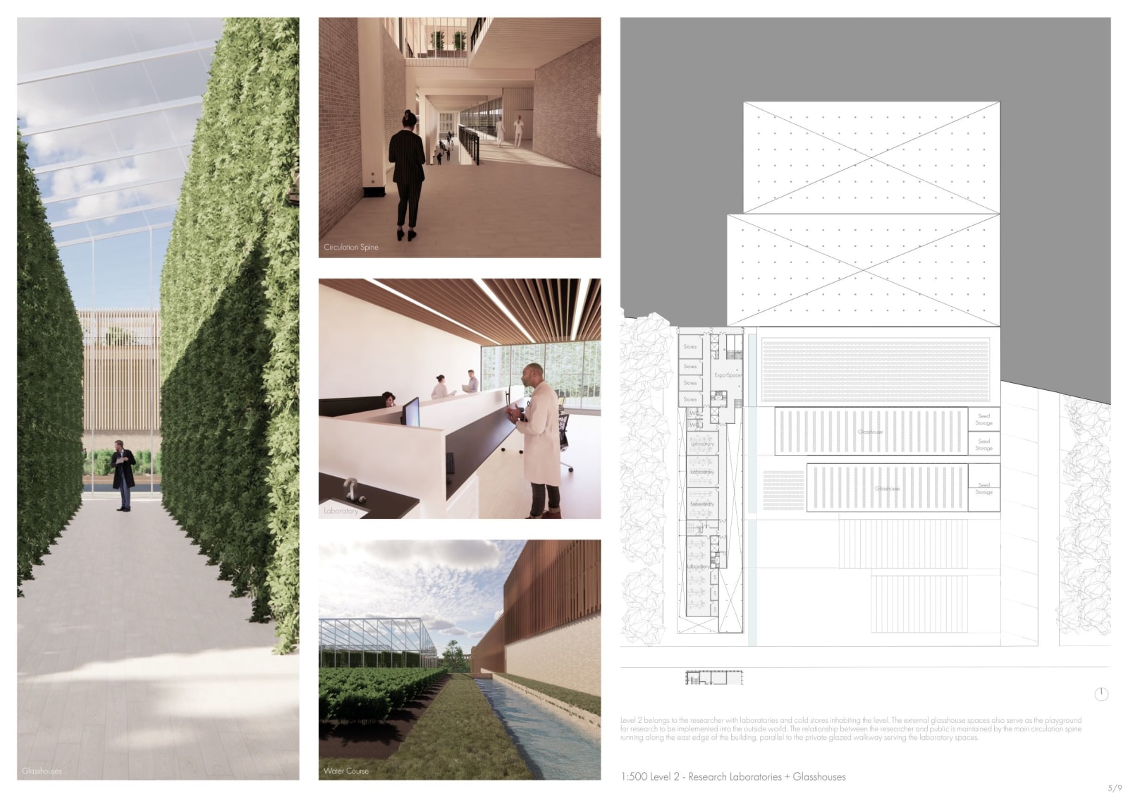 Ramsay Taylor, Growing for the future 5/9