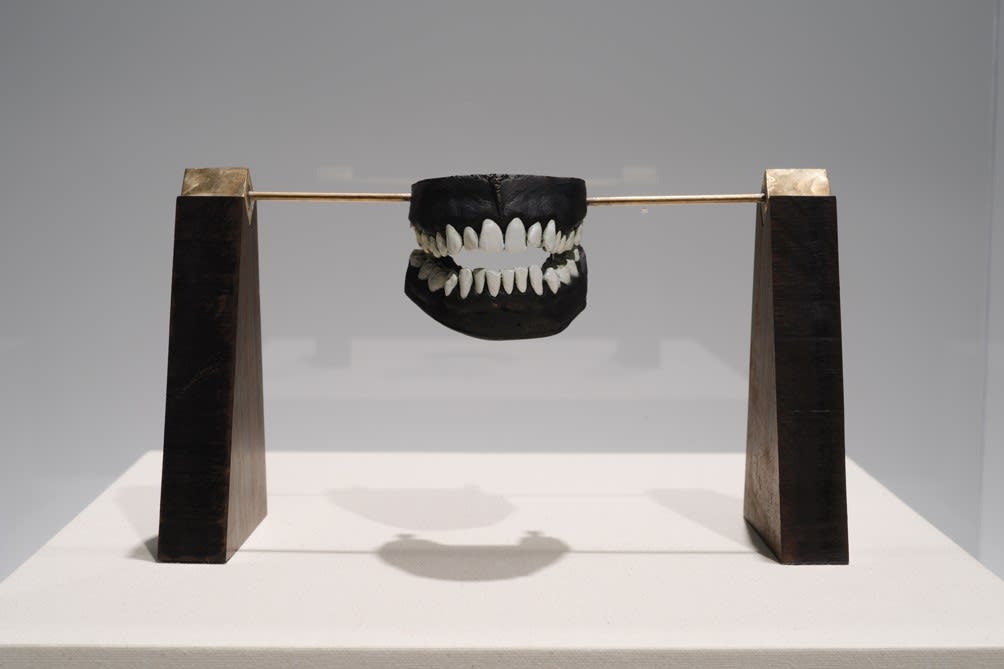 Graham Fagen RSA, Our Shared, Common, Private Space