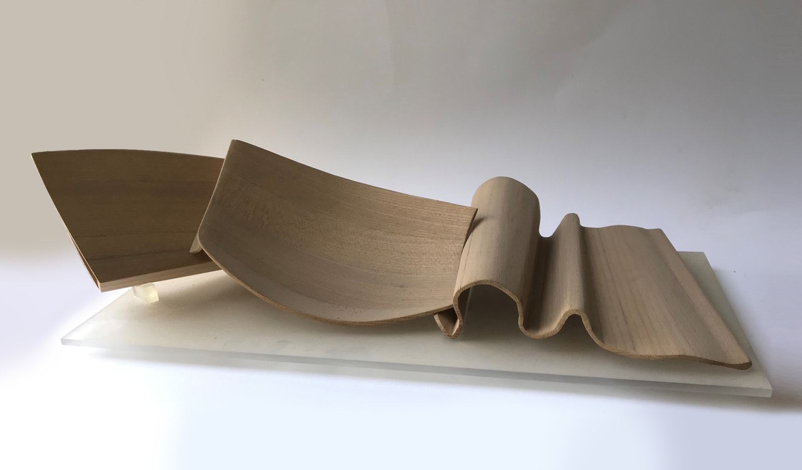 Frank Pottinger RSA, Untitled (Rippling Wood I)