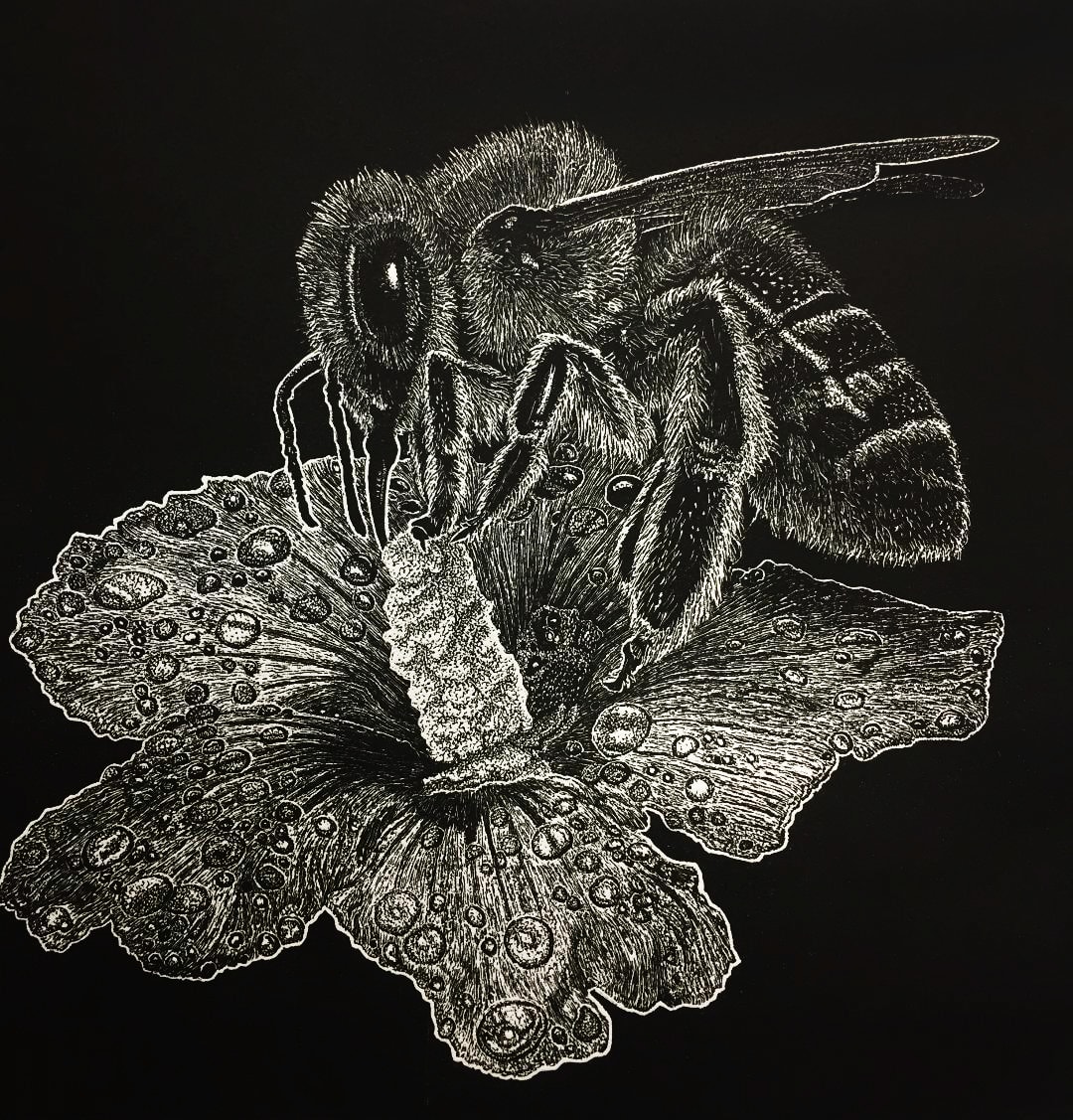 Ade Adesina RSA, Dusk, 2019