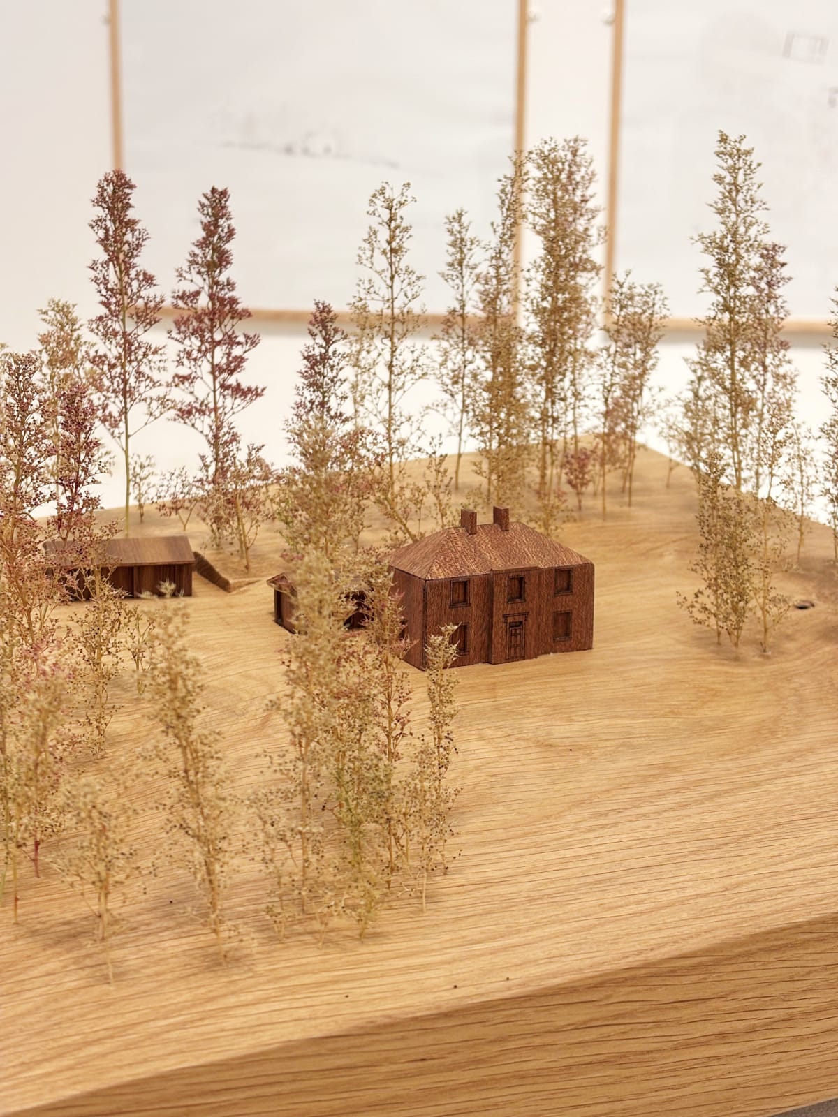 Ossian Architects, Cheviots Farmhouse, 2025