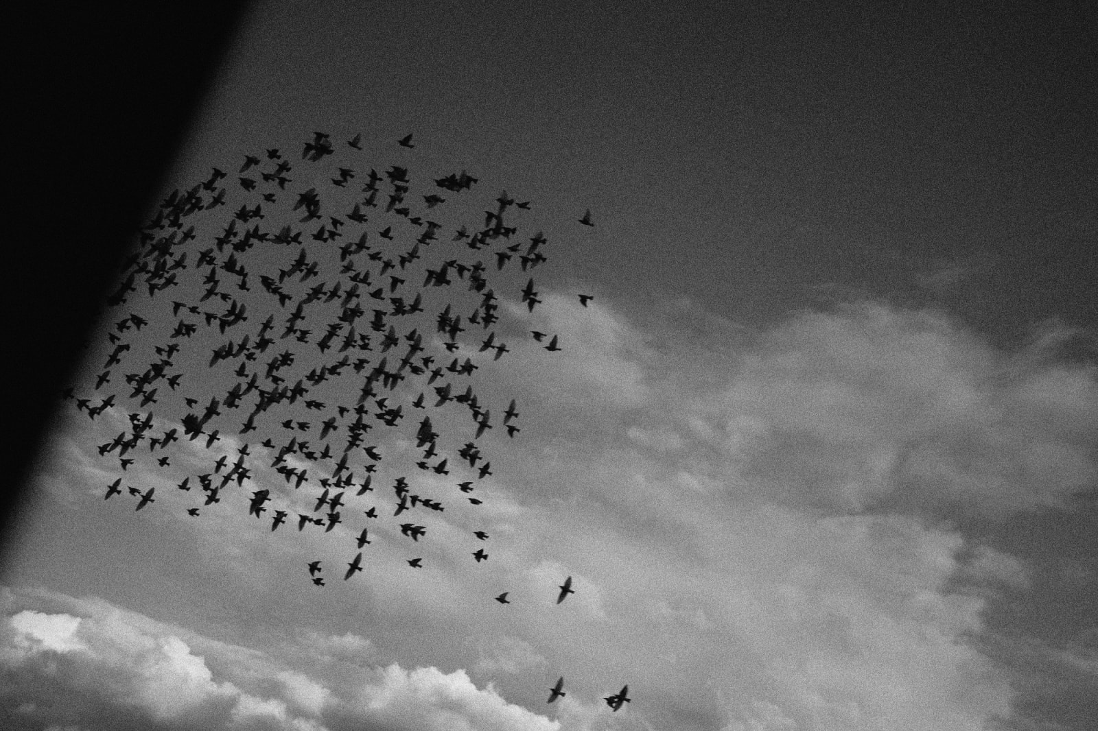 Konstantinos Irakleous, Supervised Freedom, 2021