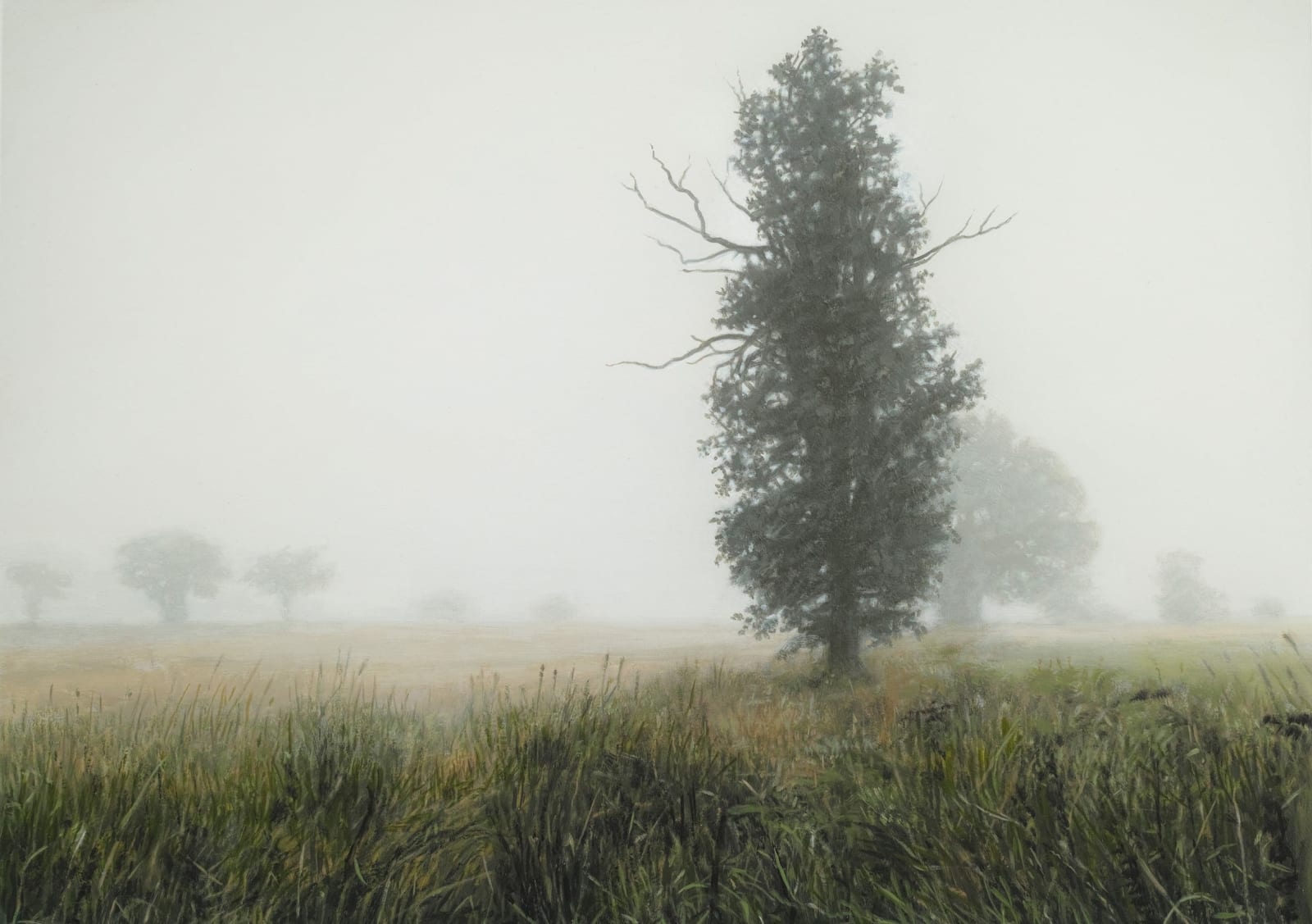 Philip Braham RSA, Trees in Fog, 2021