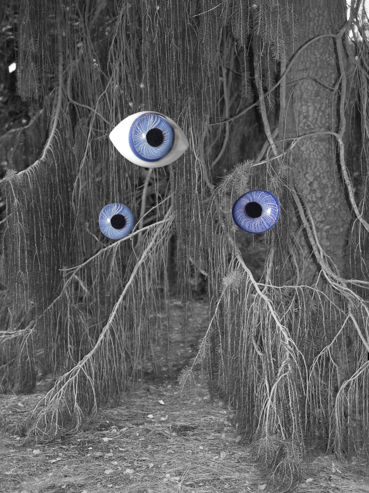 Wendy McMurdo RSA, Indeterminate Objects (Eyes), 2022