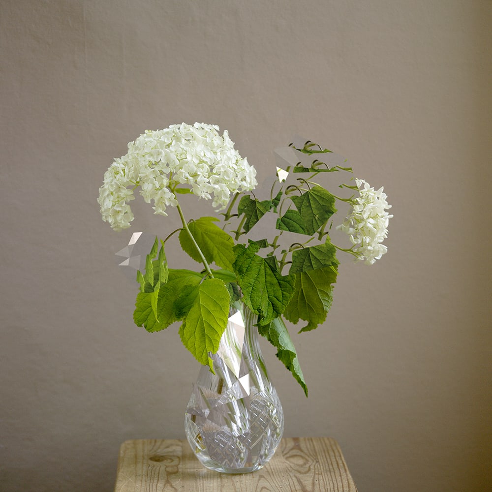 Wendy McMurdo RSA, Indeterminate Object I (Flora), 2020