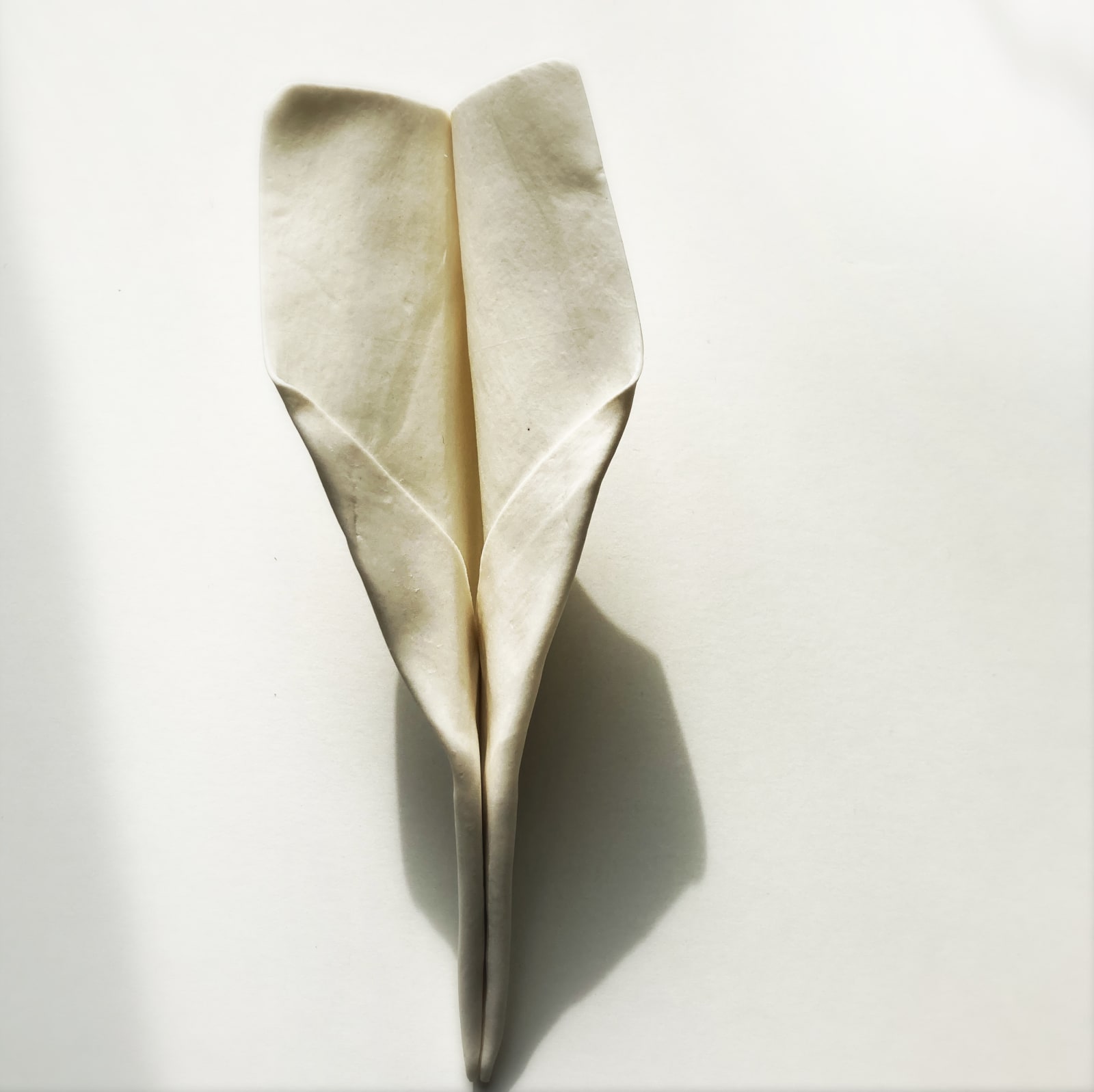 Leena Nammari RSA (Elect), Grounded II, 2021