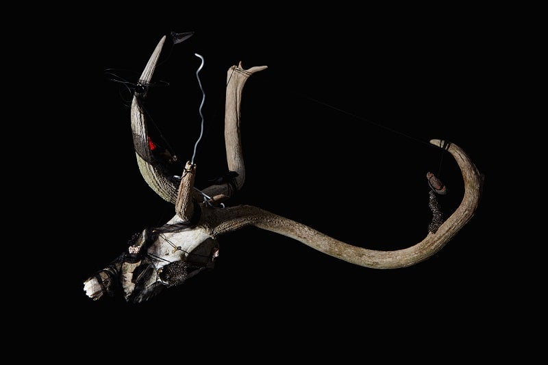 Jeanne Cannizzo, Skull, 2018-2019